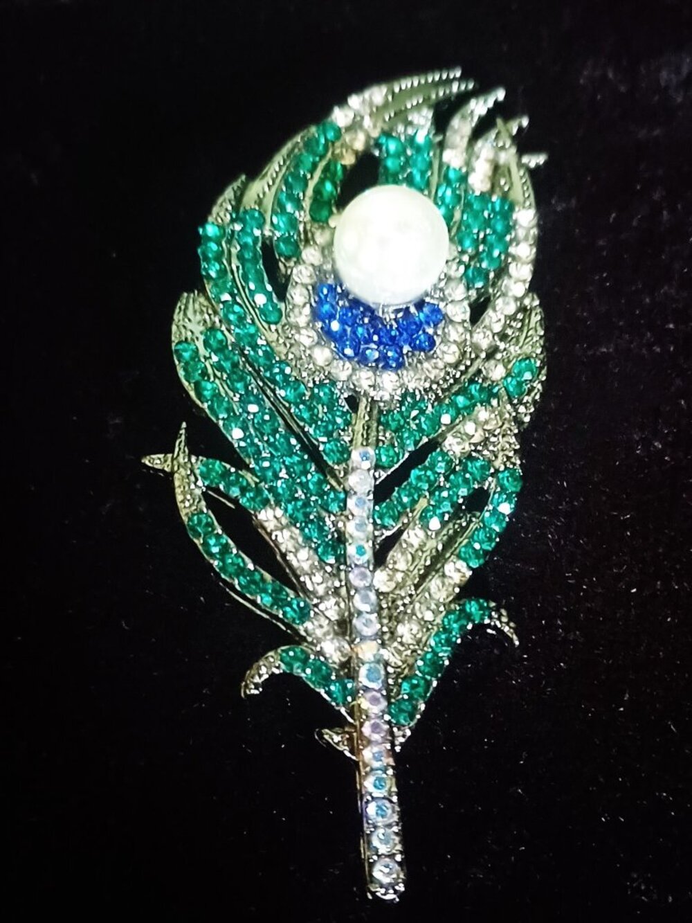 Gorgeous Feather Brooch